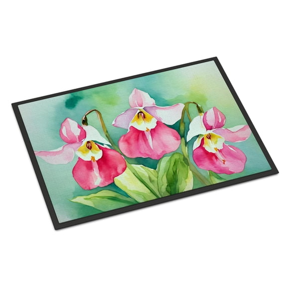 Caroline's Treasures DAC1673MAT Minnesota Pink and White Lady?s Slippers in Watercolor Doormat 18x27 Front Door Mat Indoor Outdoor Rugs for Entryway, Non Slip Washable Low Pile, 18H X 27W