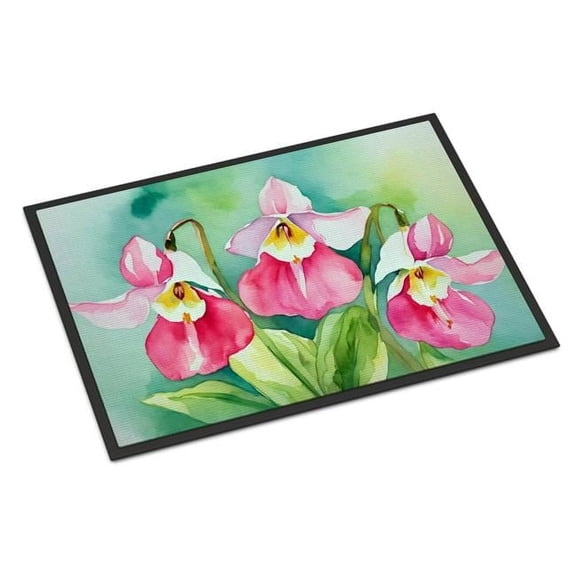 Carolines Treasures DAC1673MAT 18 x 27 in. Unisex Minnesota Pink & White Ladys Slippers in Watercolor Doormat