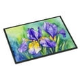 thumbnail image 1 of Carolines Treasures DAC1707JMAT 24 x 36 in. Unisex Tennessee Iris in Watercolor Indoor or Outdoor Mat, 1 of 5
