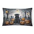 thumbnail image 1 of Carolines Treasures DAC2066PW1216 16 x 12 in. Unisex Black Pug Spooky Halloween Fabric Decorative Pillow, 1 of 4