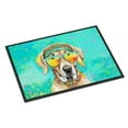 thumbnail image 1 of Carolines Treasures DAC2566MAT 0.15 x 18 x 27 in. Weimaraner Hippie Dawg Doormat, 1 of 5
