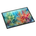 thumbnail image 1 of Carolines Treasures DAC2825JMAT 0.15 x 24 x 36 in. Seaweed Doormat, 1 of 6