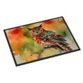 thumbnail image 1 of Carolines Treasures DAC3221JMAT 24 x 36 in. Unisex Elf Owl Doormat, 1 of 5