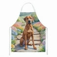 thumbnail image 1 of Carolines Treasures DAC6704APRON 30 x 27 in. Rhodesian Ridgeback Spring Path Apron, 1 of 5