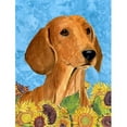 thumbnail image 1 of Carolines Treasures  Dachshund Flag- Garden Size, 1 of 1