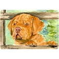 thumbnail image 1 of Carolines Treasures Dogue de Bordeaux Mouse Pad Hot Pad or Trivet Large multicolor, 1 of 1