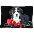thumbnail image 1 of Carolines Treasures  Entlebucher Mountain Dog Decorative Indoor & Outdoor Fabric Pillow, 1 of 1