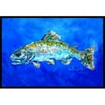 thumbnail image 1 of Carolines Treasures  Fish Headed Downstream Indoor & Outdoor Doormat, 1 of 1