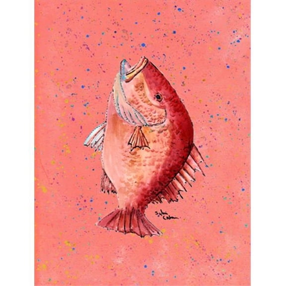 Carolines Treasures Fish Strawberry Snapper Flag Canvas House Size 28 x 40 in.