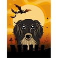 thumbnail image 1 of Caroline's Treasures BB1771GF Halloween Longhair Black and Tan Dachshund Flag Garden Size , Small, multicolor, 1 of 3