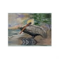 thumbnail image 1 of Carolines Treasures JMK1019PLMT Pelican Bay Fabric Placemat, Multicolor, 1 of 1