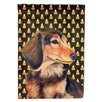 Carolines Treasures LH9041-FLAG-PARENT Dachshund Candy Corn Halloween Portrait Flag multicolor