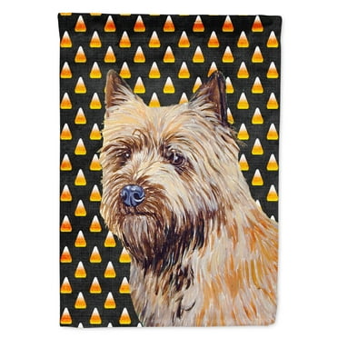 Carolines Treasures LH9061-FLAG-PARENT Cairn Terrier Candy Corn Halloween Portrait Flag  multicolor