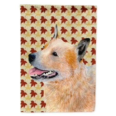 Carolines Treasures LH9092-FLAG-PARENT Australian Cattle Dog Fall Leaves Portrait Flag  multicolor