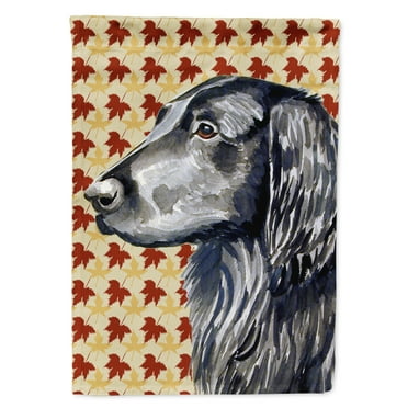 Carolines Treasures LH9096-FLAG-PARENT Flat Coated Retriever Fall Leaves Portrait Flag  multicolor