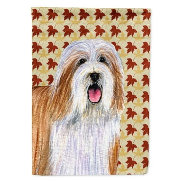 Carolines Treasures LH9105-FLAG-PARENT Bearded Collie Fall Leaves Portrait Flag  multicolor