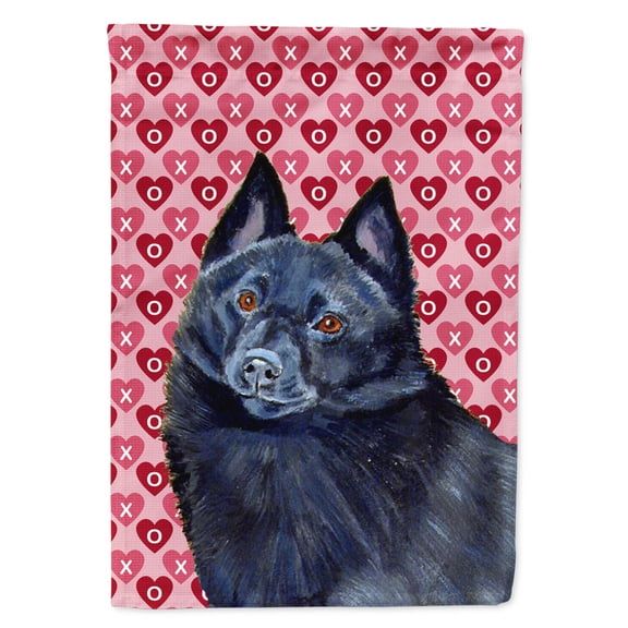 Carolines Treasures LH9159-FLAG-PARENT Schipperke Hearts Love and Valentines Day Portrait Flag  multicolor