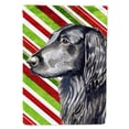 thumbnail image 1 of Carolines Treasures LH9231-FLAG-PARENT Flat Coated Retriever Candy Cane Holiday Christmas  Flag  multicolor, 1 of 2