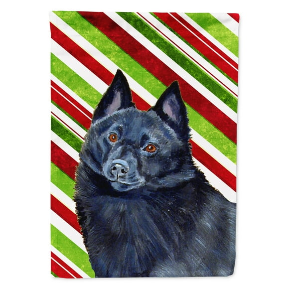 Carolines Treasures LH9249-FLAG-PARENT Schipperke Candy Cane Holiday Christmas  Flag  multicolor