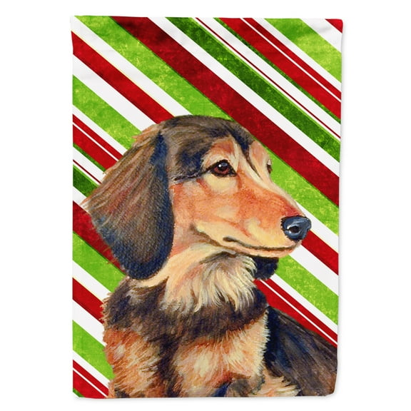 Carolines Treasures LH9256-FLAG-PARENT Dachshund Candy Cane Holiday Christmas  Flag  multicolor