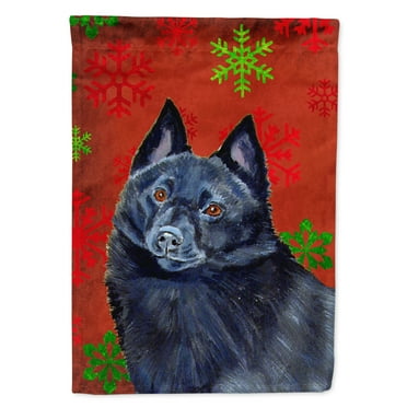 Carolines Treasures LH9339-FLAG-PARENT Schipperke Red and Green Snowflakes Holiday Christmas Flag  multicolor