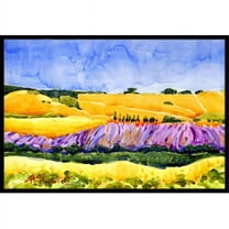 Carolines Treasures Landscape Indoor Or Outdoor Mat