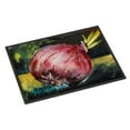 thumbnail image 1 of Carolines Treasures MW1092JMAT Vegetables - Onion One-Yun Door Mat Indoor Rug or Outdoor Welcome Mat 24x36 Doormat 24H X, 1 of 4