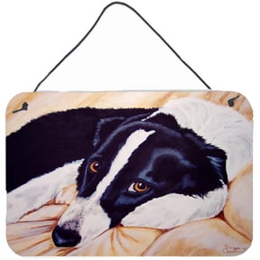 Carolines Treasures Naptime Border Collie Wall or Door Hanging Prints