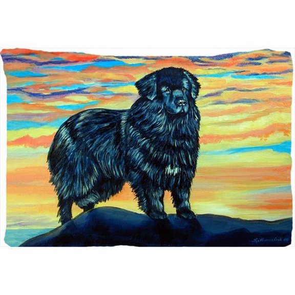 Carolines Treasures Newfoundland Moisture Wicking Fabric Standard Pillowcase