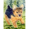 thumbnail image 1 of Carolines Treasures  Norwich Terrier Flag - Garden Size, 1 of 1