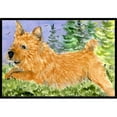 thumbnail image 1 of Carolines Treasures  Norwich Terrier Indoor Outdoor Mat - 18 x 27 in., 1 of 1