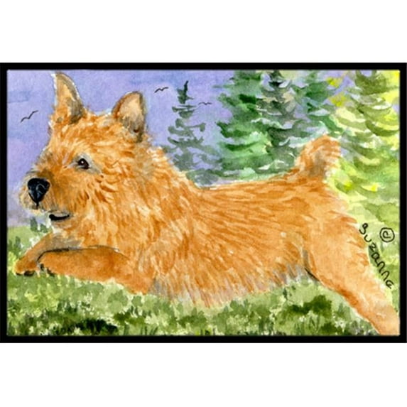 Carolines Treasures Norwich Terrier Indoor Outdoor Mat - 18 x 27 in.