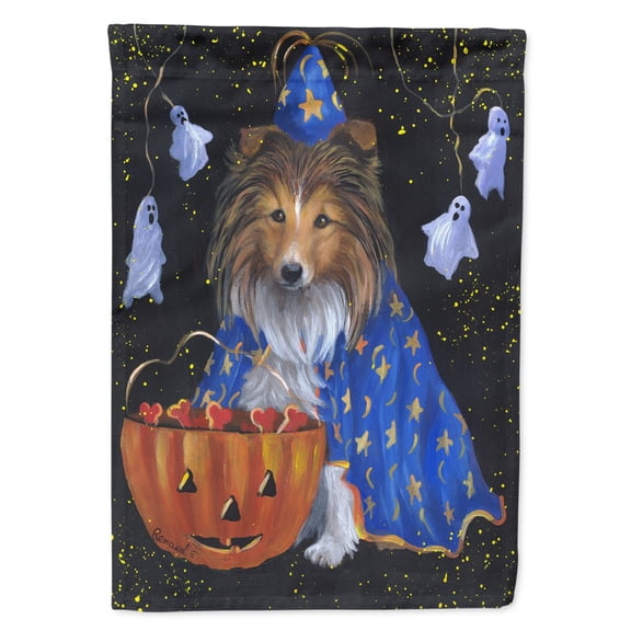 Carolines Treasures PPP3186GF Sheltie Halloween Witch Flag Garden Size Small multicolor