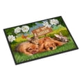 thumbnail image 1 of Carolines Treasures PTW2048JMAT Golden Retriever and Sharpei Do Not Disturb Door Mat Indoor Rug or Outdoor Welcome Mat, 1 of 4