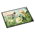 thumbnail image 1 of Carolines Treasures PTW2058MAT Lily and the Hummingbirds Door Mat Indoor Rug or Outdoor Welcome Mat 18x27 Doormat 27"L, 1 of 4