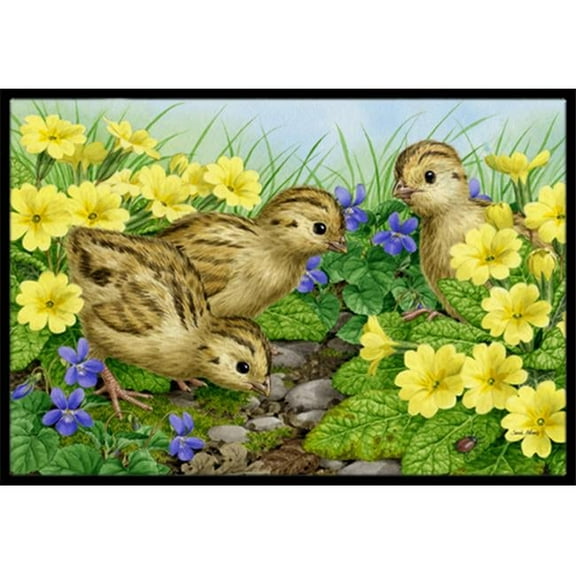Carolines Treasures Pheasant Chicks Indoor or Outdoor Mat- - 18 x 27