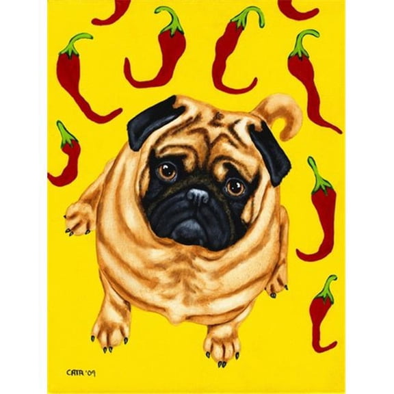 Carolines Treasures  Pick a Pepper Pug Flag Garden Size