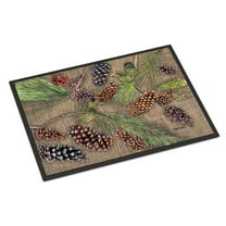 Carolines Treasures Pine Cones Door Mat Indoor Rug or Outdoor Welcome Mat 24x36 Doormat 24H X 36W multicolor
