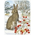 thumbnail image 1 of Carolines Treasures  Rabbit With Berries Glass Cutting Board - Large, 1 of 1