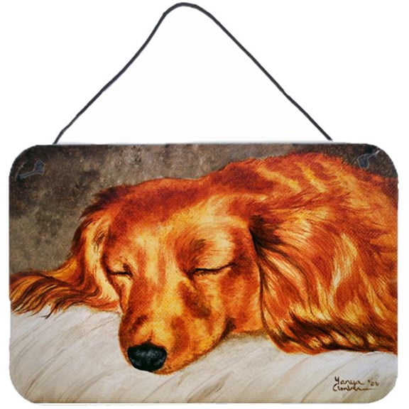 Carolines Treasures Red Longhaired Dachshund Wall or Door Hanging Prints - Red