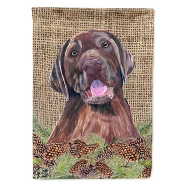 Carolines Treasures SC9039-FLAG-PARENT Labrador Flag  multicolor