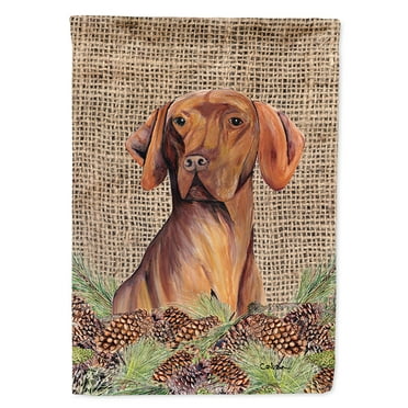 Carolines Treasures SC9044-FLAG-PARENT Vizsla Flag  multicolor