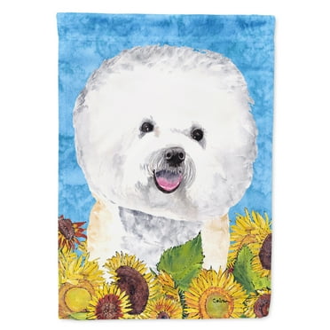 Carolines Treasures SC9059-FLAG-PARENT Bichon Frise Flag  multicolor