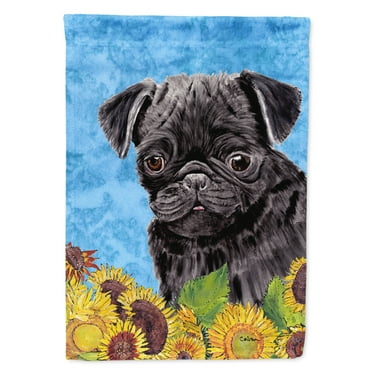 Carolines Treasures SC9062-FLAG-PARENT Pug Flag  multicolor
