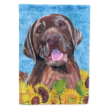 Carolines Treasures SC9074-FLAG-PARENT Labrador Flag  multicolor