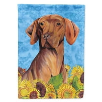 Carolines Treasures SC9079-FLAG-PARENT Vizsla Flag  multicolor