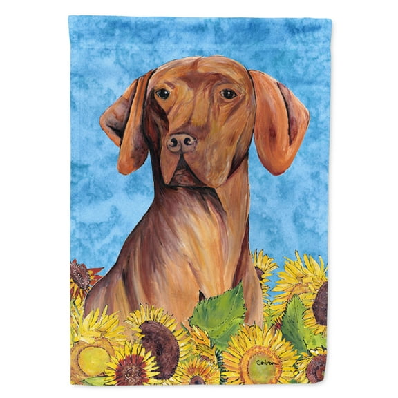 Carolines Treasures SC9079-FLAG-PARENT Vizsla Flag  multicolor