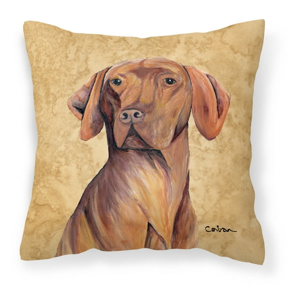 Carolines Treasures SC9132PW1414 Vizsla Wipe your Paws Fabric Decorative Pillow, 14Hx14W, multicolor