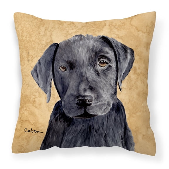 Carolines Treasures SC9136PW1414 Labrador Wipe your Paws Fabric Decorative Pillow, 14Hx14W, multicolor