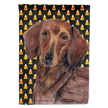 Carolines Treasures SC9178-FLAG-PARENT Dachshund Candy Corn Halloween Portrait Flag  multicolor